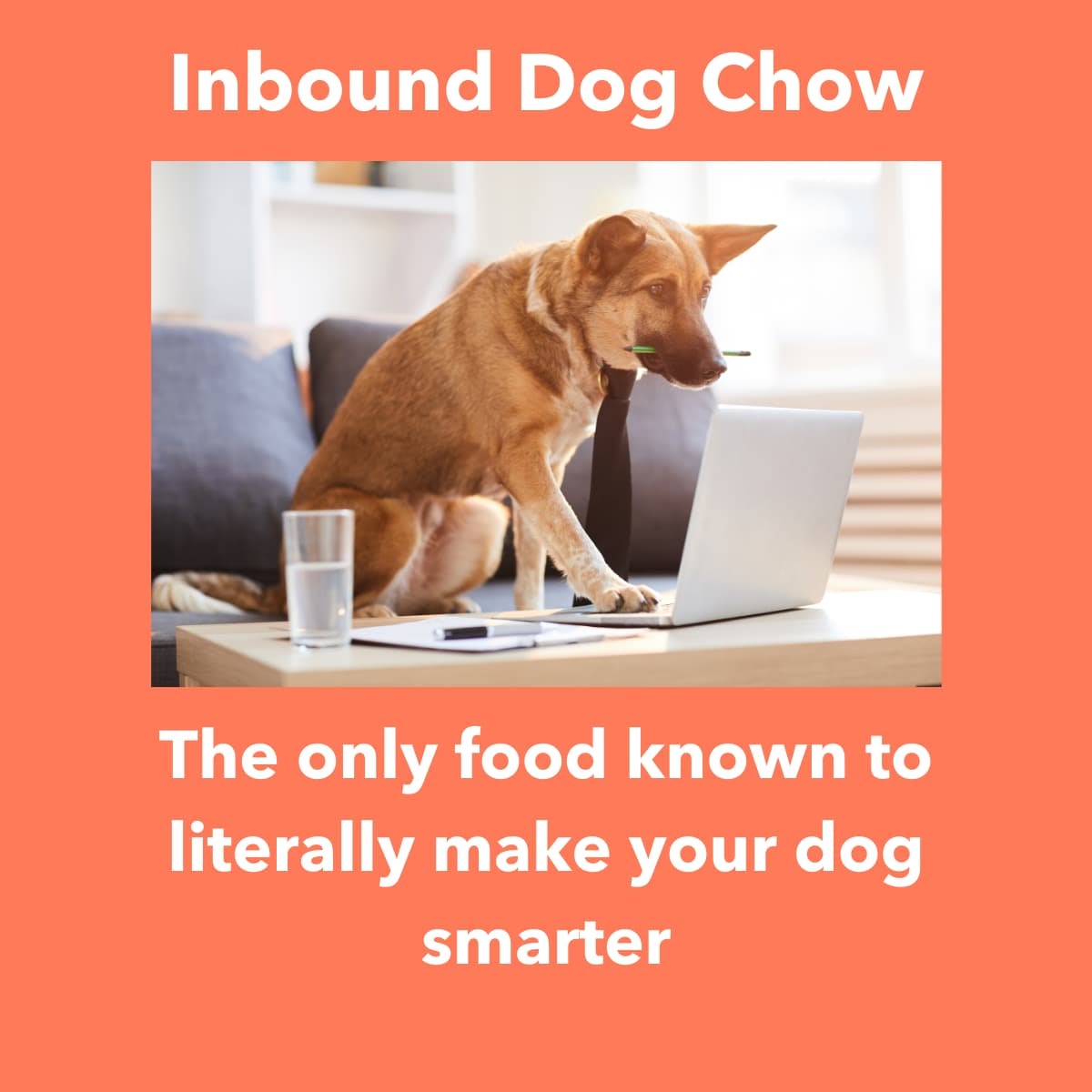 An Outrageously Incredible, MindBlowing Piece on Sales Puffery